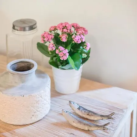 Alfama Charming With 2 Free Bikes By Timecooler Appartement *